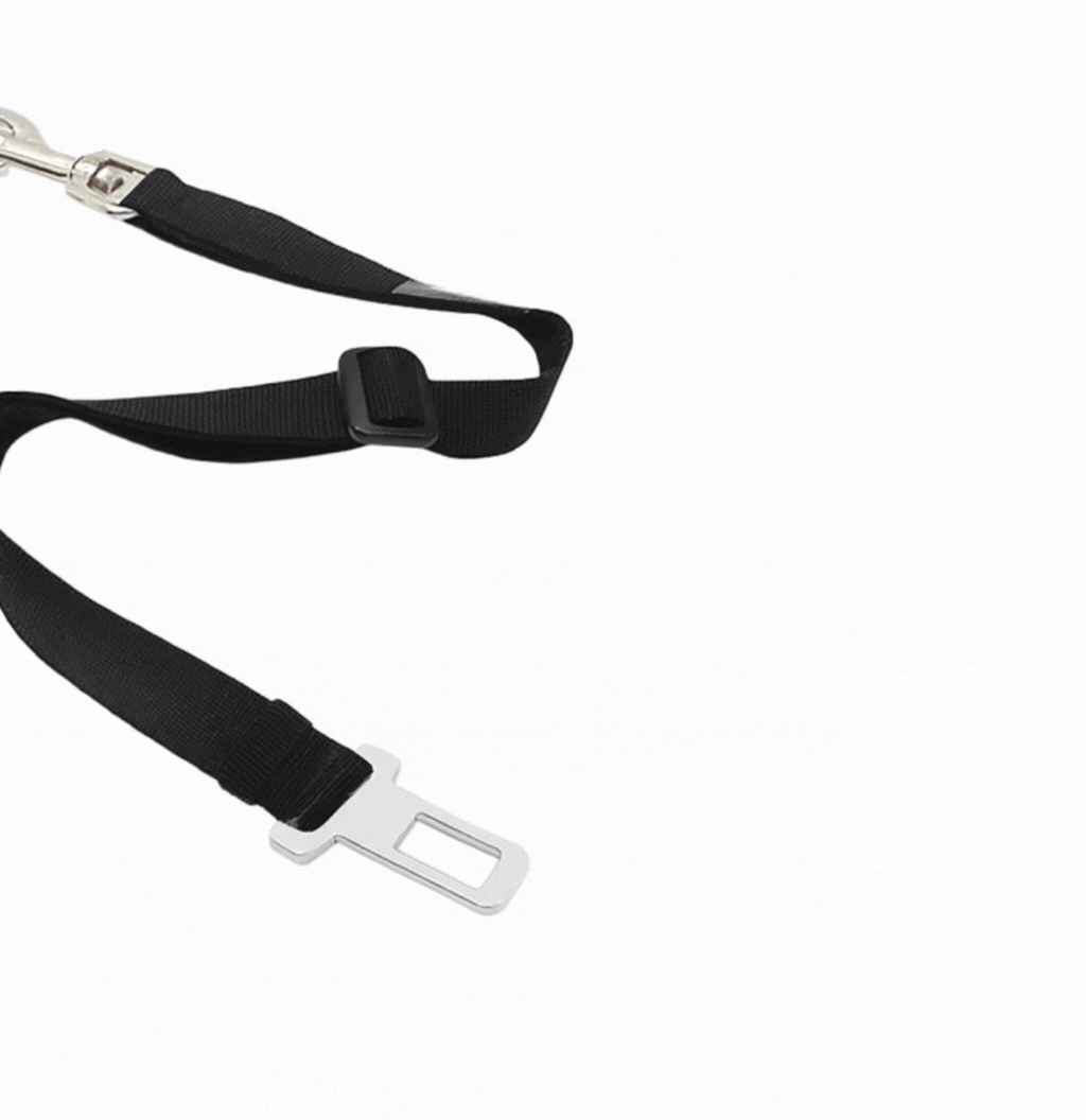 Regulowany pas bezpieczeństwa dla zwierząt do samochodu 🐾